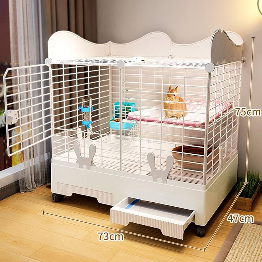 71GlhAUgQ7L._AC_UF894,