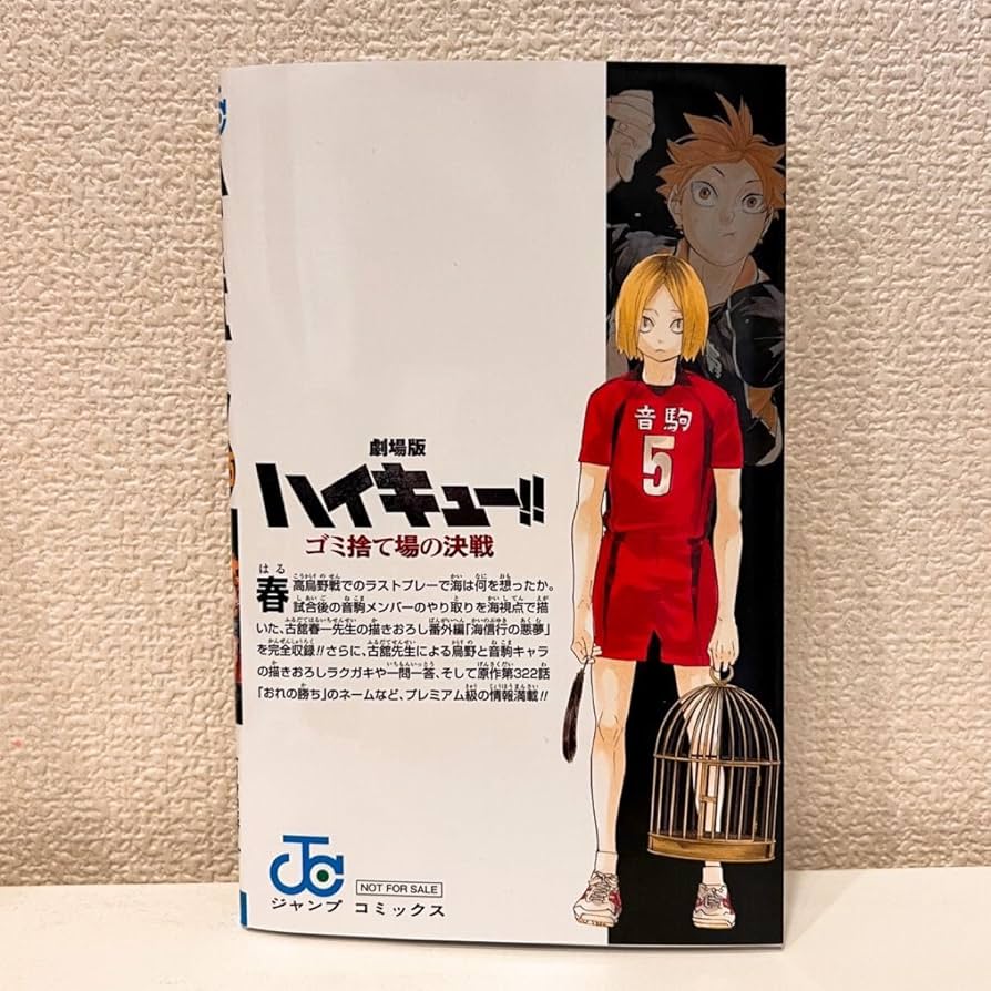 劇場版 ハイキュー ゴミ捨て場の決戦 B1サイズ 映画 販促 ポスター ②