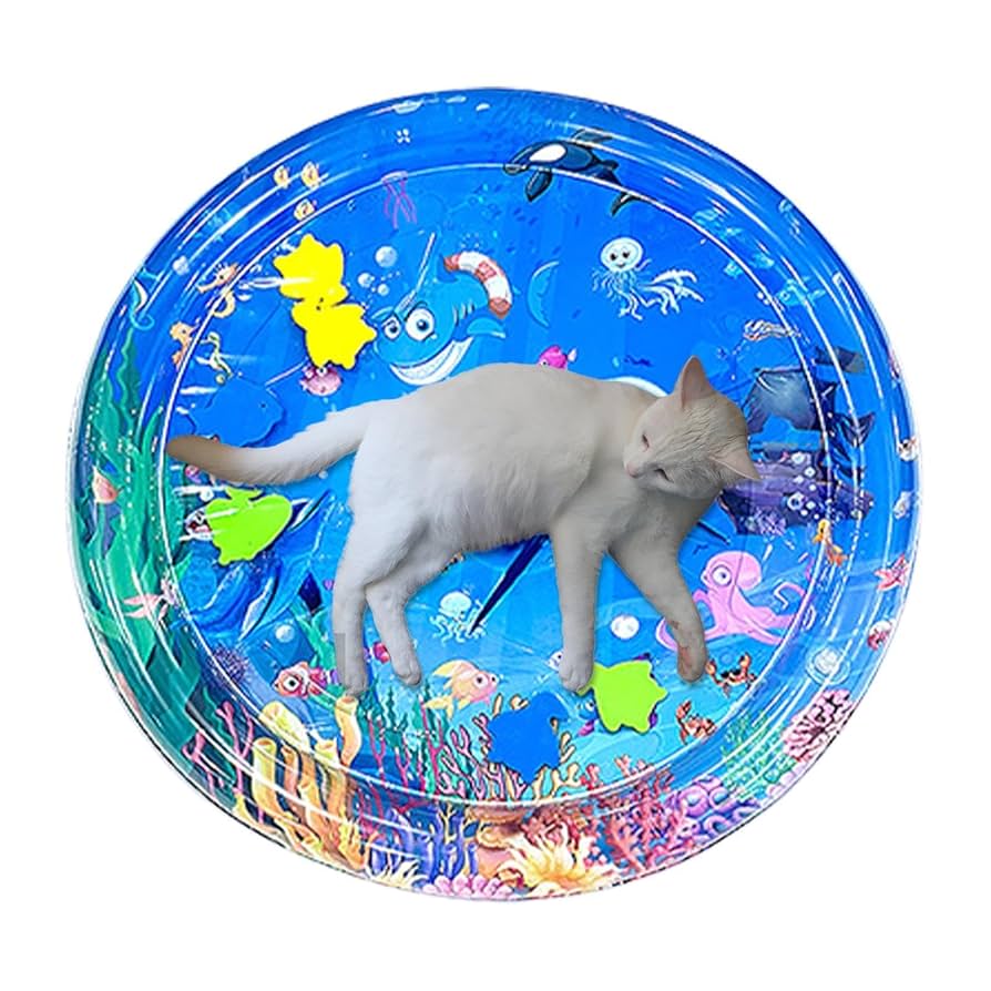 遊戯王 量子猫 プレイマット 量子猫 プレイマット 2025年最新】遊戯王