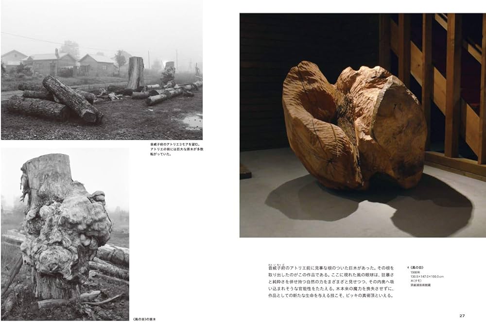 砂澤ビッキ 風を彫った彫刻家ー作品と素描ー | 札幌芸術の森美術館 |本