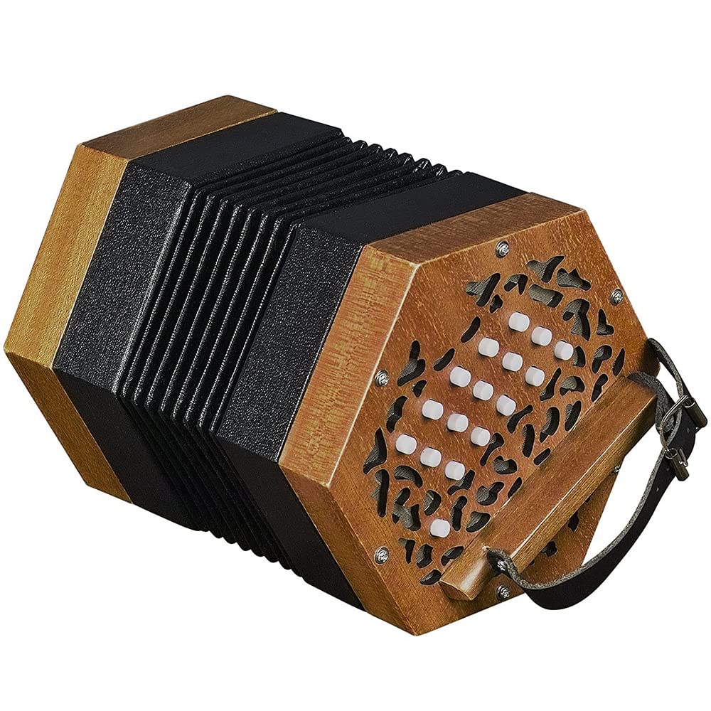 Amazon.co.jp: 30 ボタン アコーディオン コンサーティーナ、入門