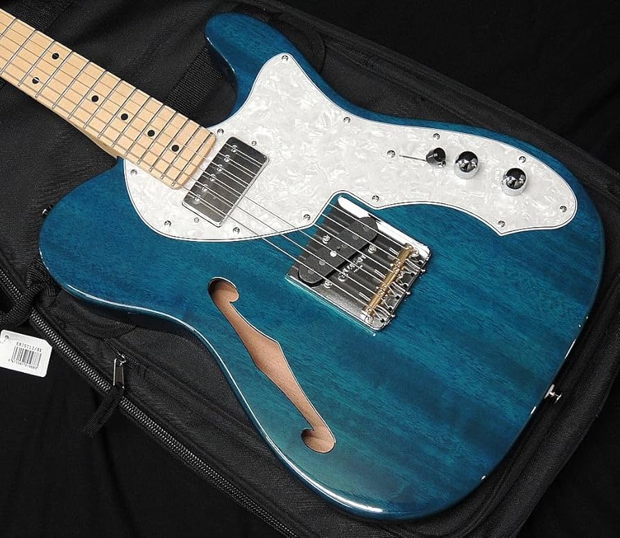 シンライン テレキャスターシンライン FGN フジゲン【純正ギターケース