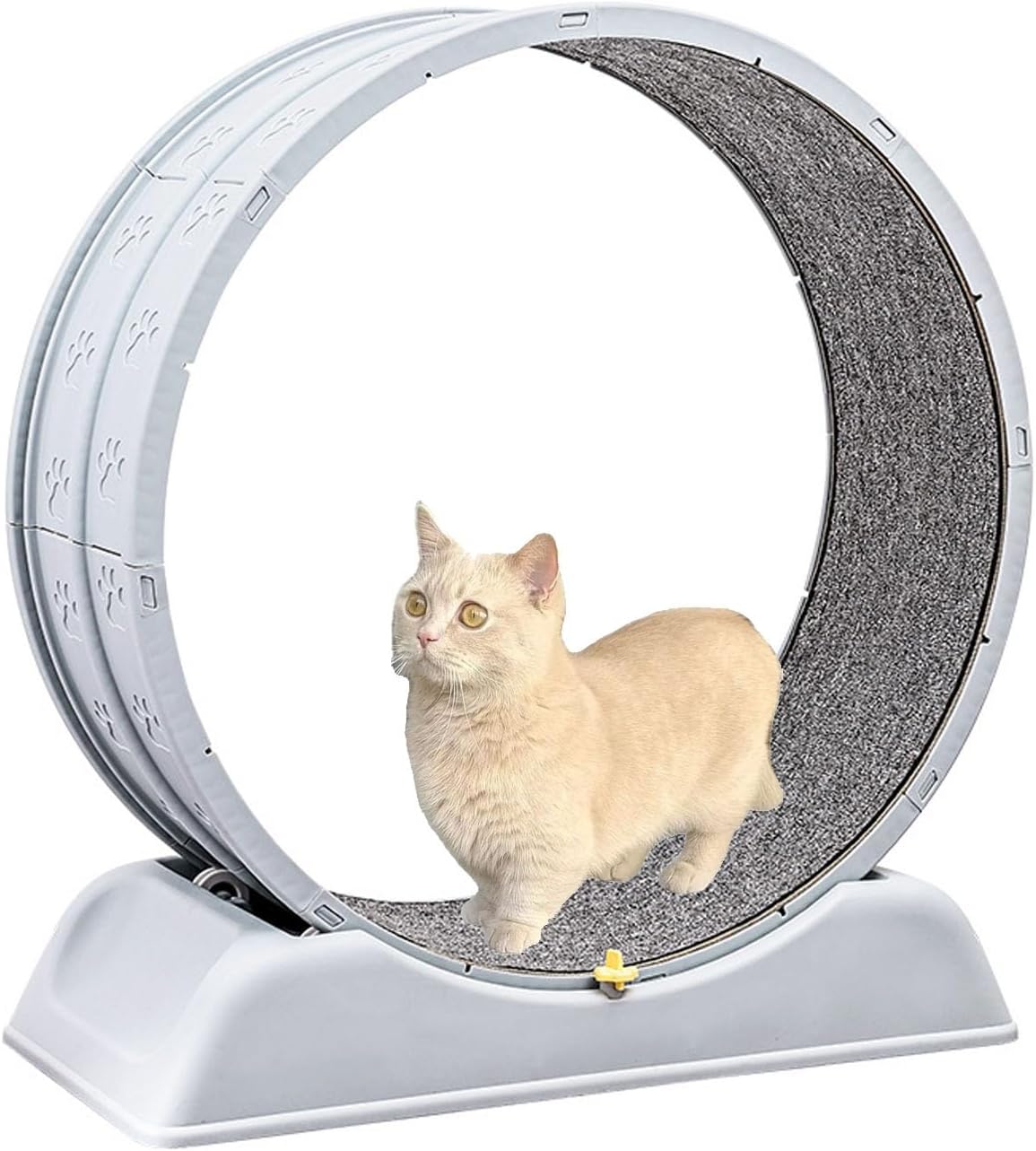 HSHBGS キャットホイール 猫 ホイール 直径80cm 猫の車輪 室内運動用