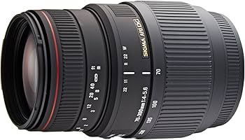 Amazon.com : Sigma 70-300mm f/4-5.6 DG APO Macro Telephoto Zoom