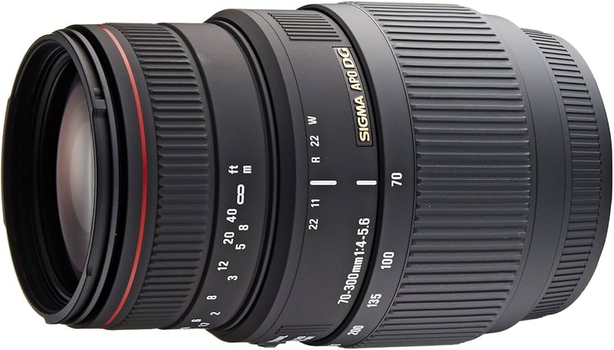 Amazon.com : Sigma 70-300mm f/4-5.6 DG APO Macro Telephoto Zoom
