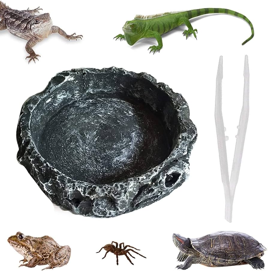 Amazon | ウォーターディッシュ 爬虫類 両生類 水飲み場 給餌