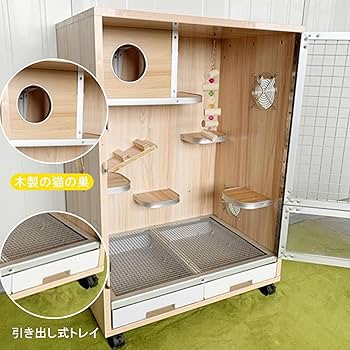 71ICqfQpbRL._AC_UF350,