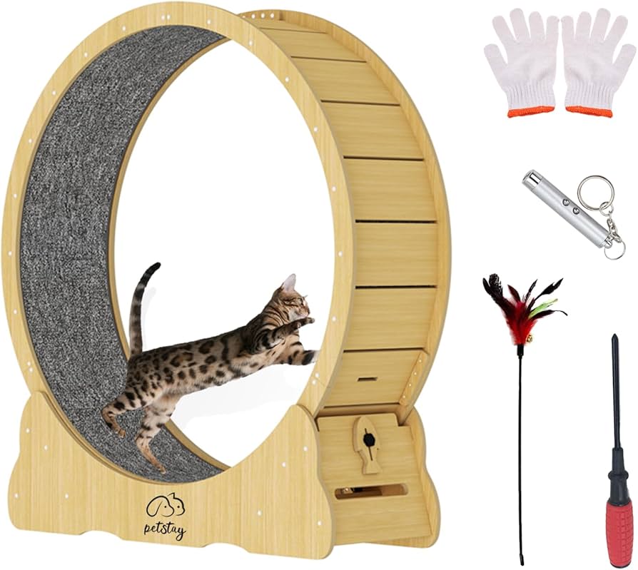 Amazon | petstay キャットホイール 猫 回し車 木製 直径110cm 大型猫
