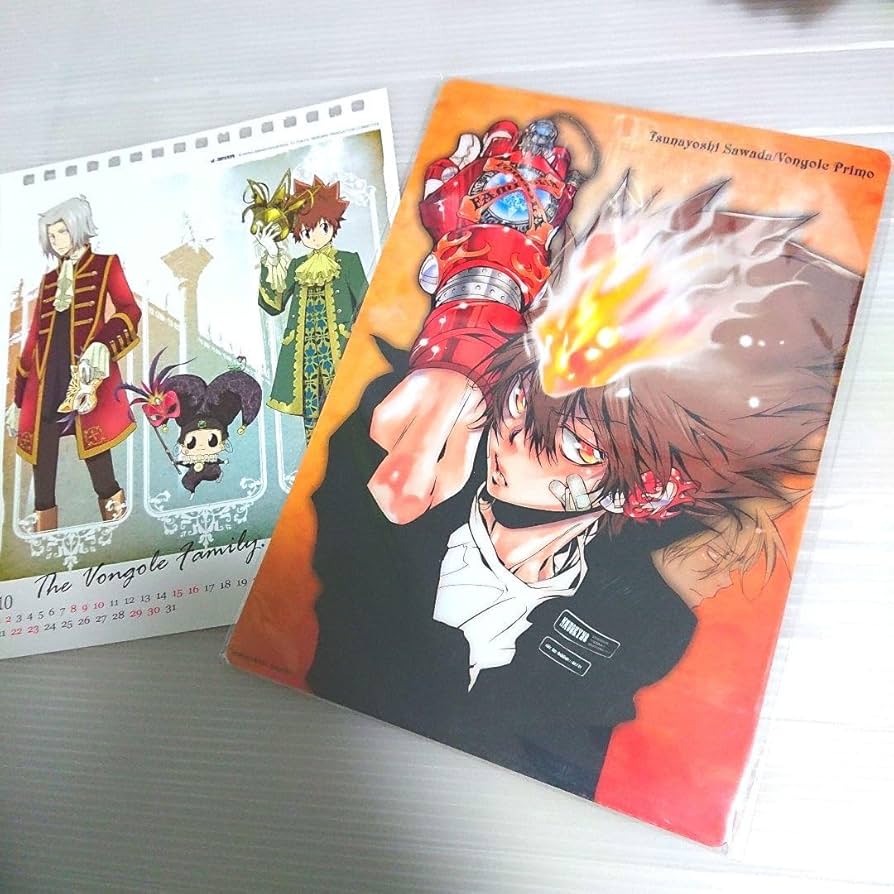 家庭教師ヒットマンREBORN! 沢田綱吉獄寺隼人