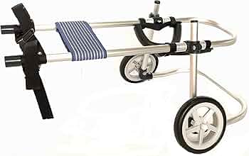 71IdKiI1VtL._AC_UF350,