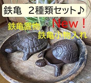 IG68 希少品✨ 亀 木製 小物入れ 縁起物 インテリア 2段 甲羅 レア