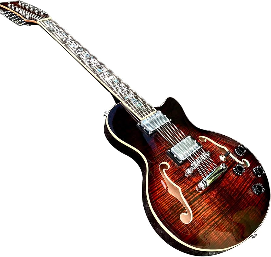 Amazon | セミホロウボディ 12弦 Fホール エレキギター マホガニー