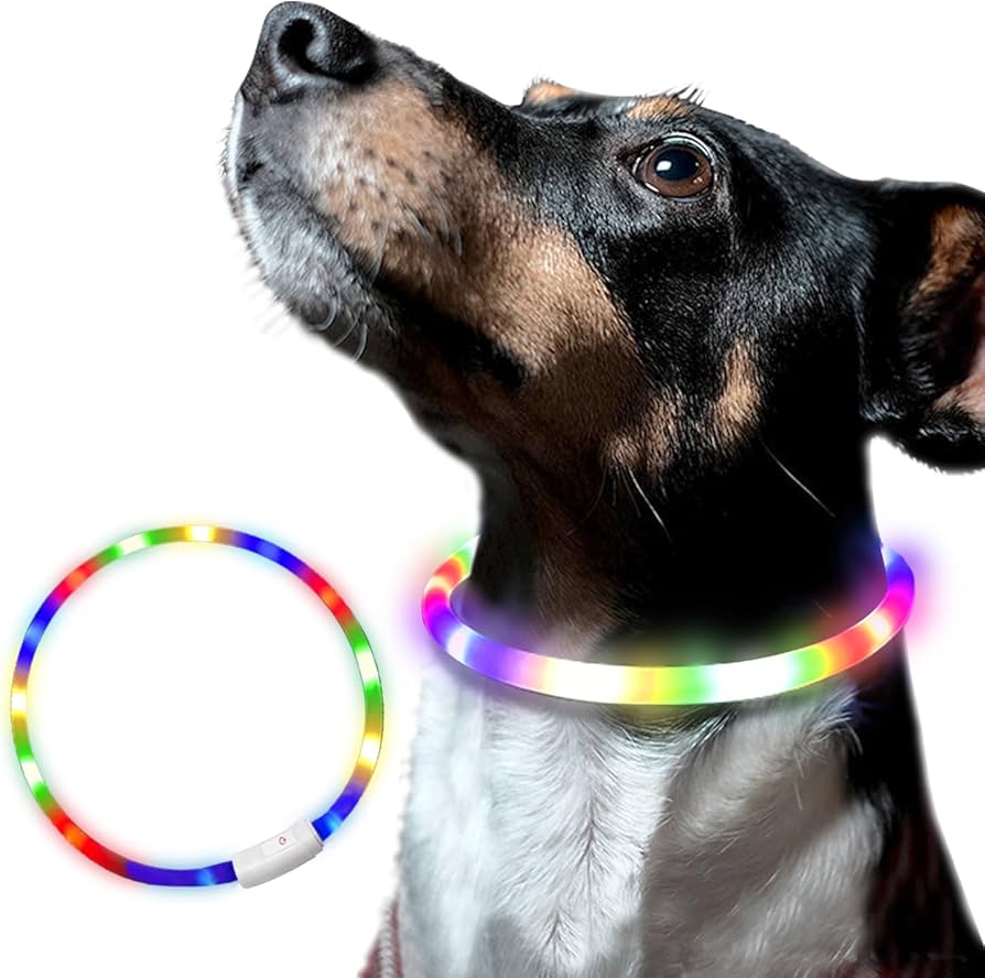 Amazon | 犬 猫 光る 首輪 LED レインボー 夜間 事故防止 ペット 散歩