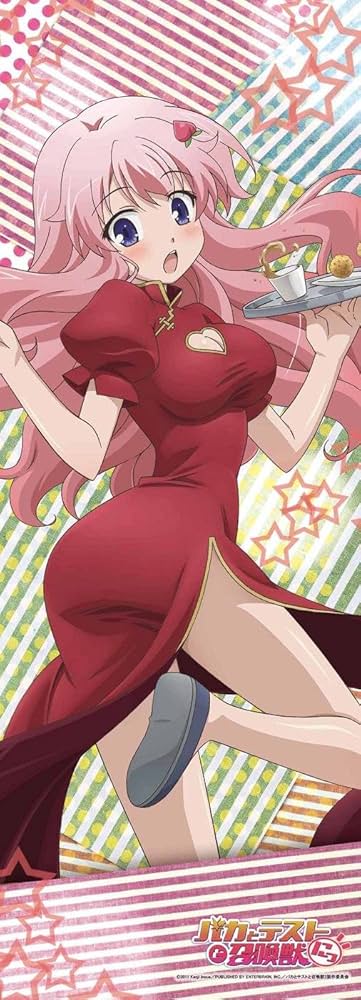 Amazon.co.jp: バカとテストと召喚獣にっ! 等身大タペストリー 姫路