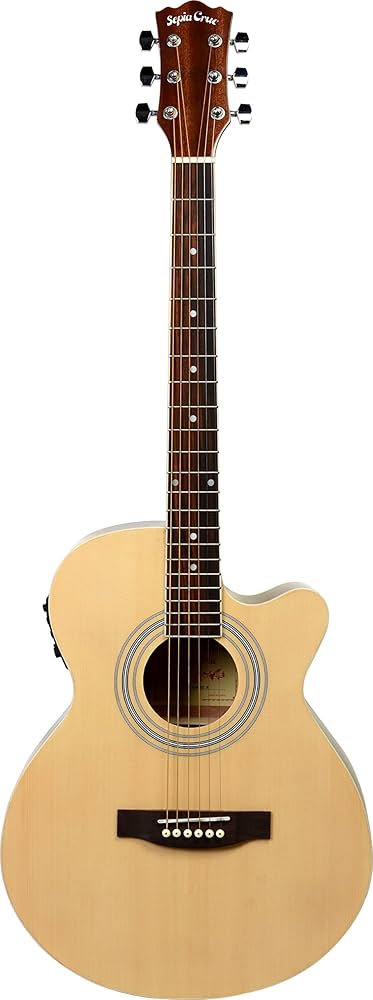 Amazon | Sepia Crue セピアクルー エレアコギター EAW-01/N