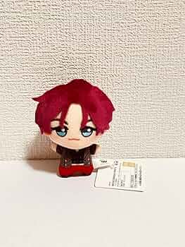 71KaVFotXlL._AC_UF350,