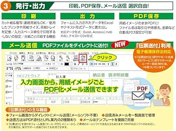 Amazon.co.jp: TB 指定伝票 13 : PCソフト