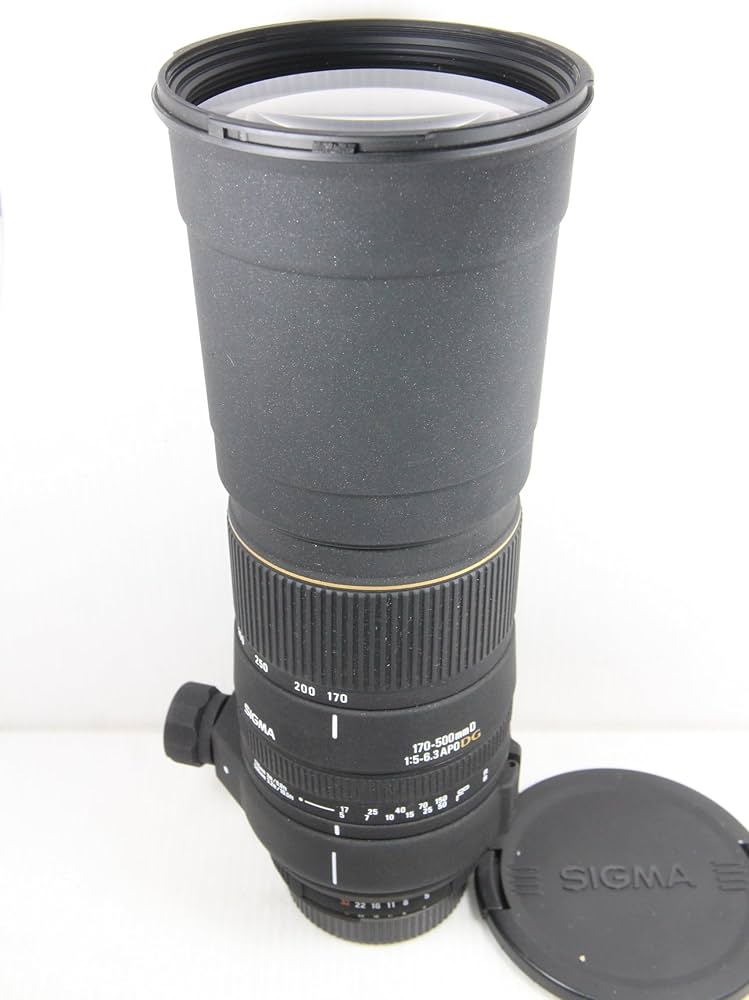 Amazon.co.jp: シグマ 170-500mm F5-6.3 APO DG ニコン用 : 家電＆カメラ