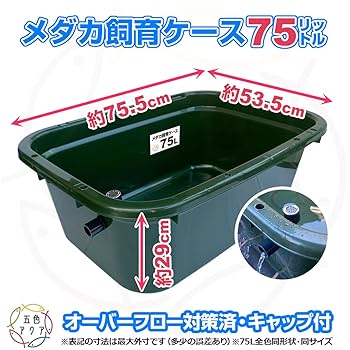 メダカ飼育ケース 36㍑x5個（4色あり） オーバーフロー対策済 金魚飼育容器