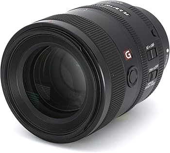 Amazon.co.jp: SONY(ソニー) 望遠単焦点レンズ フルサイズ FE 100mm F2