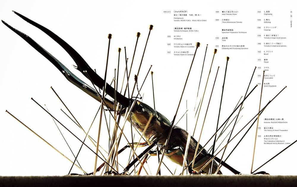 Amazon.co.jp: 昆虫展足の世界 : 福井 敬貴, 小林 一秀: 本