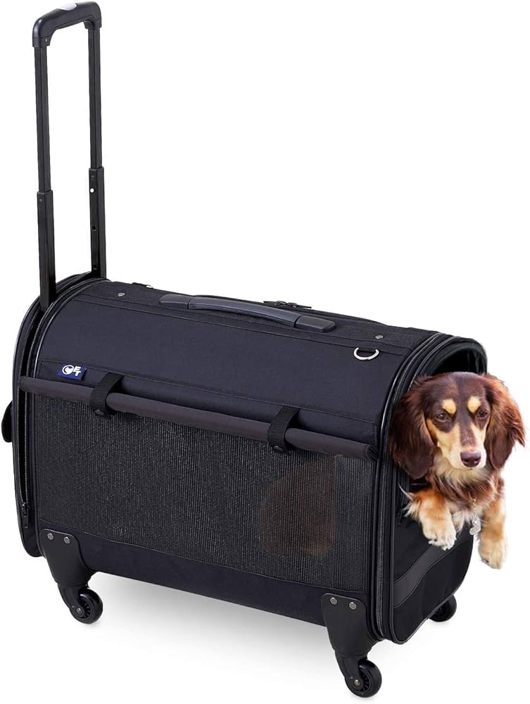 Amazon.co.jp: 【OFT】 キャリーバッグ NEW L 適応体重12kg オー