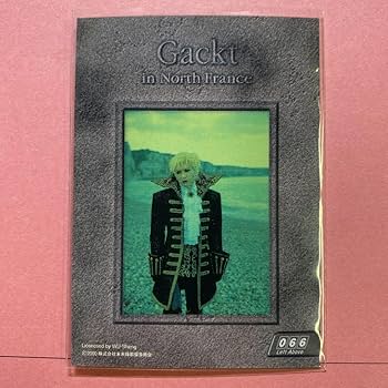 Amazon.co.jp: GACKT ソロデビュー 初期 トレカ 1枚 ガクト