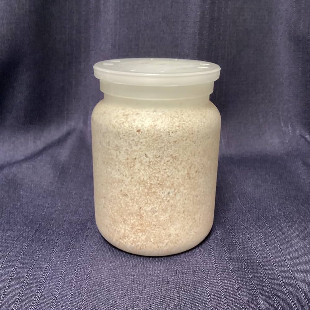 Amazon.co.jp: 【EXCEED CRAFT】LEVIN-G800H 800cc オオヒラタケ 菌糸