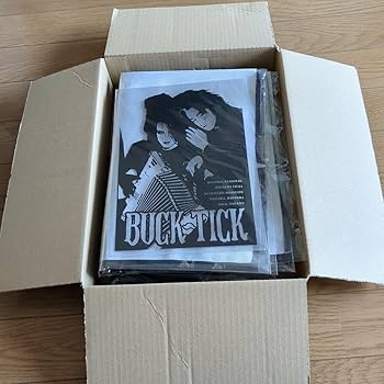 Amazon.co.jp: BUCK-TICK ファブリックポスター バッグ 下敷き 櫻井