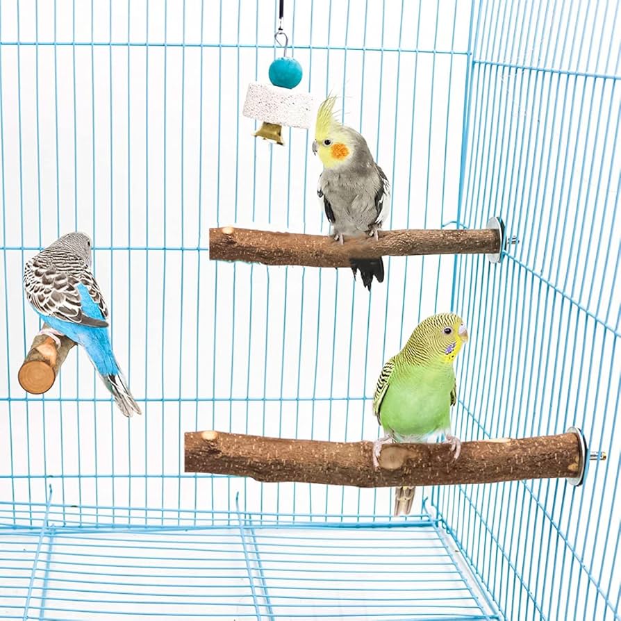 大型インコ 中型インコ用とまり木 自然木 柚