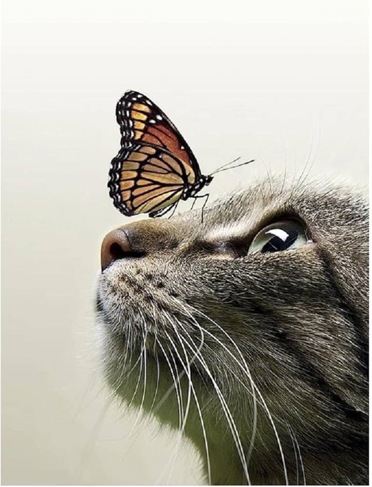 絵絵画かわいい昆虫動物アートインテリア雑貨おしゃれモダンアート