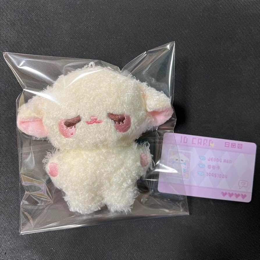 SEVENTEEN ジョンハン マスター 10cm ぬいぐるみ SEVENTEEN ジョンハン