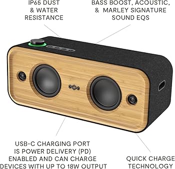 Amazon.com: House of Marley Get Together 2 XL: Portable Party