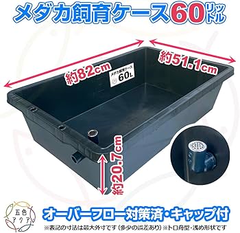 Amazon | 五色アクア メダカ飼育ケース 60リットル 黒 オーバーフロー