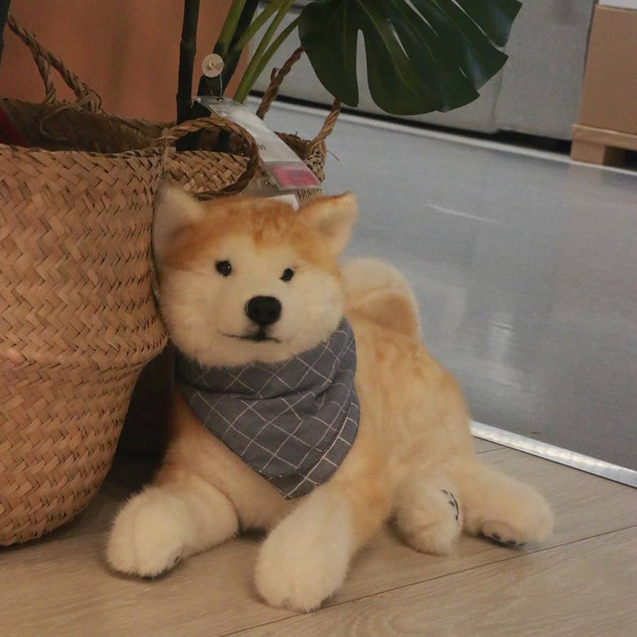 Amazon.co.jp: Chongker 秋田犬 ぬいぐるみ 本物そっくり リアル犬の