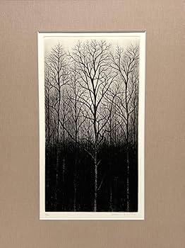 Amazon｜限定30部 木村茂 銅版画 額縁付き 外寸413×525mm 2730部 細密