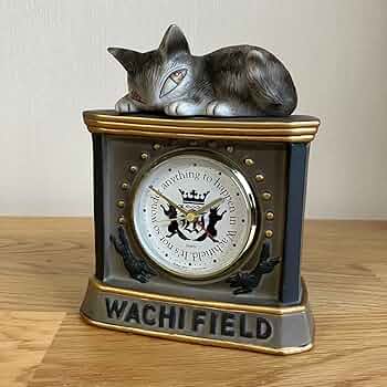 71Ni+qnxQKL._AC_UF350,