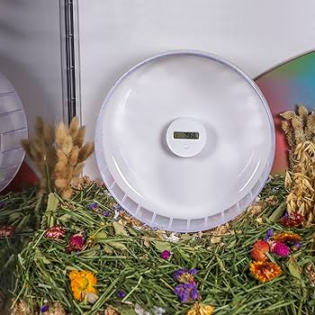 Amazon.co.jp: Niteangel 正確ハムスターホイール計步器 - ナイト