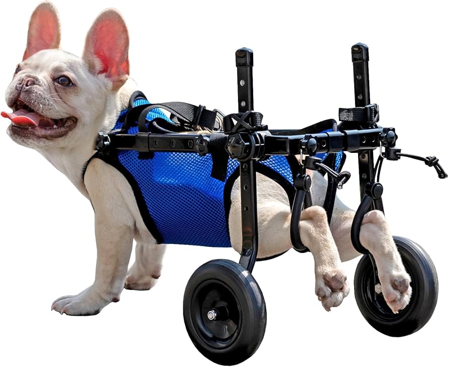 RDページ□小型犬用4輪 犬の車椅子 犬の歩行器 +