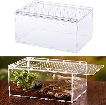 Reptile Box E22 アクリル製透明飼育ケージ レプタイルボックス Amazon