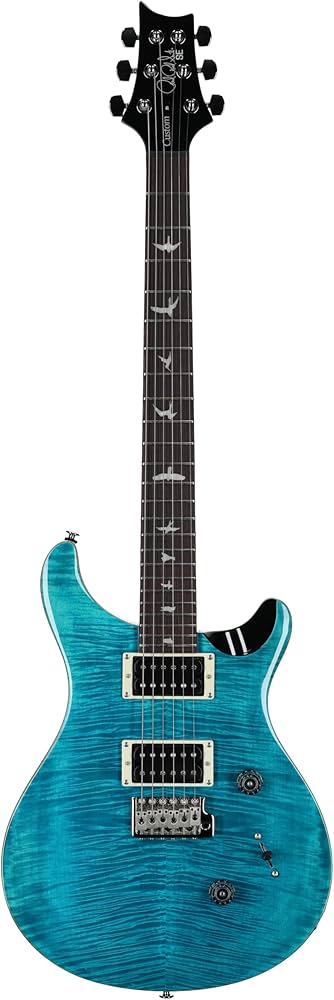 Amazon.com: PRS SE Custom 24 Exclusive with Gig Bag, Blue Matteo