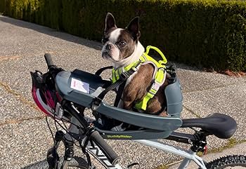 Amazon.co.jp: バディーライダー Buddyrider 自転車用ペットシート