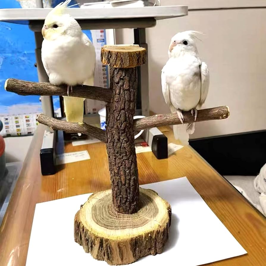 Amazon.co.jp: 鳥止まり木 天然木 スタンド インコ オウム 文鳥 鳥