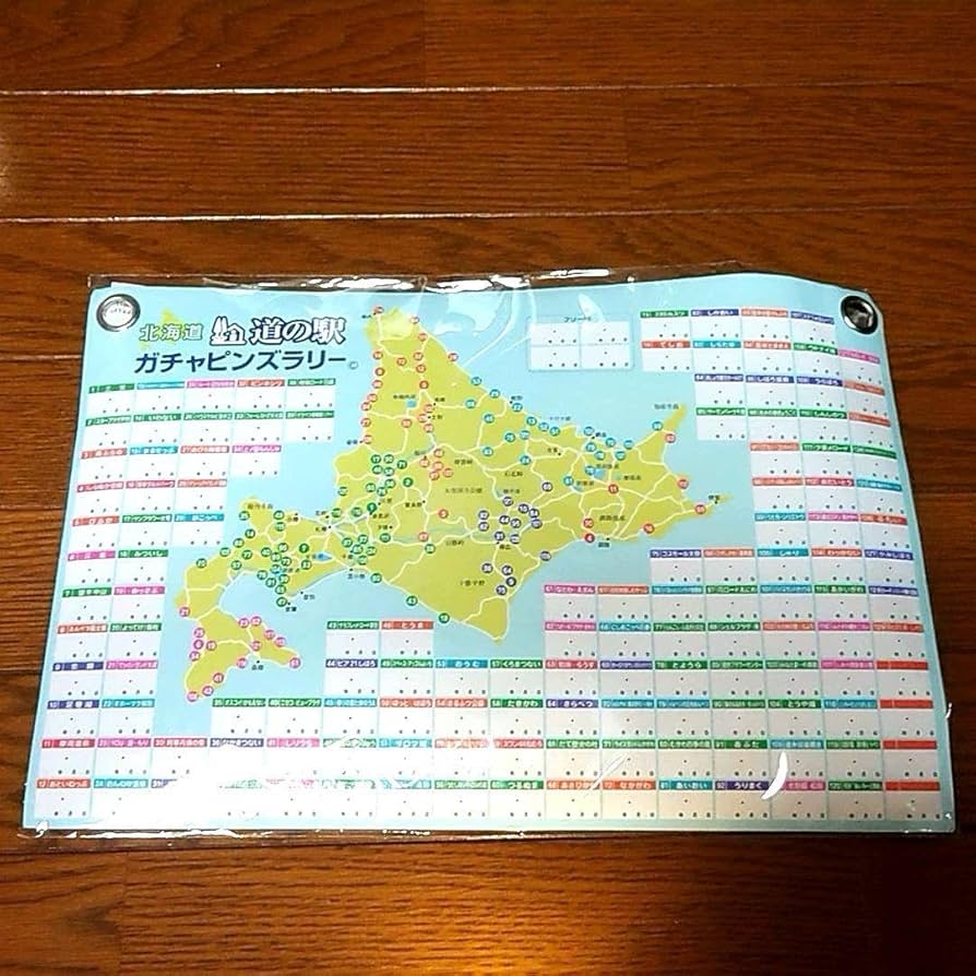 北海道道の駅ピンズゴールドピンズ2024年版 99種類早い物勝ち✨