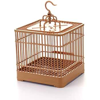 竹製鳥かご 4個セット 竹製鳥籠6個セット 71xQY65VmgS._UF894,1000_QL80_.