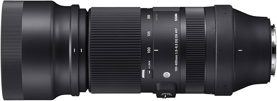Amazon.com : Sigma 100-400mm F5-6.3 Contemporary DG DN OS for Sony