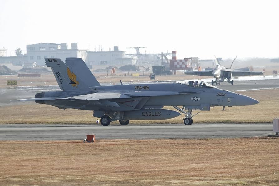 米海軍 VFA-115 EAGLES F/A-18 E パッチセット 17枚 米海軍 VFA-