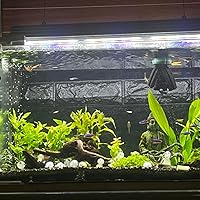 Amazon.co.jp: アクロ TRIANGLE LED GROW 600