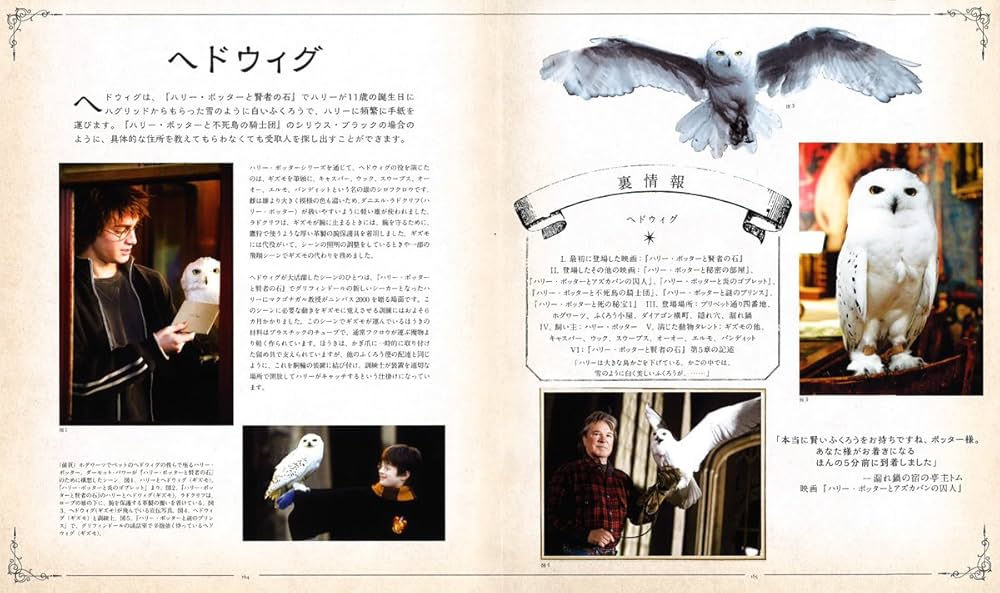 Amazon.co.jp: ハリー・ポッター魔法生物大図鑑 (ハリー・ポッター大