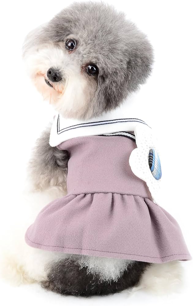 犬服 S わんこの普段着大きな花